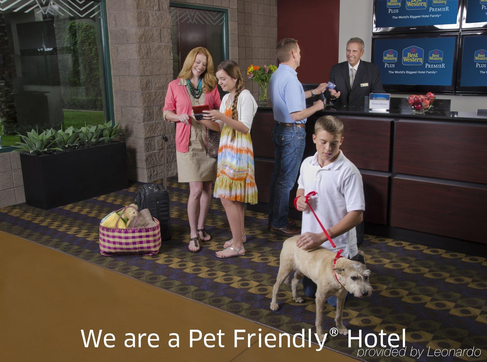Best Western Plus Calgary Centre Inn Eksteriør bilde